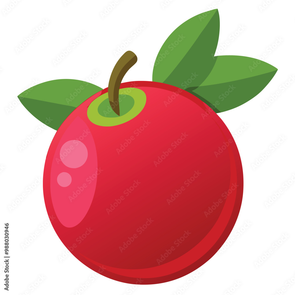 Wall mural cranberry fruit illustration on white background.