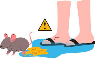 Leptospirosis illustration. Rat fever illustration. Leptospira bacteria.