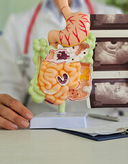 Doctor examines digestive system model and ultrasound image concept