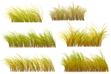 autumn grass clipart