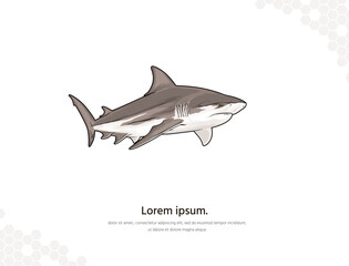 Bull shark 1 vector art for wall decoration landscape