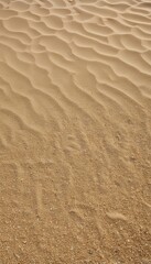 sun summer beach sand fine arid climate background barren beauty closeup coastline day desert dirty dry elegance empty environment gravel horizontal avocation lifestyle nature no people photo plain