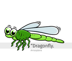 Dragonfly Cartoon illustration