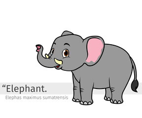 Elephant Cartoon illustration