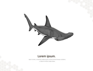 Hammerhead shark vector art for wall decoration landscape 2