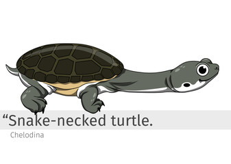 Snake necked turtle Cartoon illustration