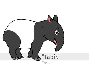 Tapir Cartoon illustration