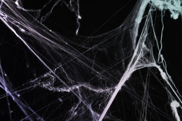 Cobweb against black background, Cobweb against black background, toned in gradient color