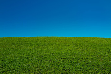 Obraz premium Green grass field. Grassy meadow background. Green grassy field. Grassy pasture landscape background. Wide green grass field. Grassland for background. Nature landscape background.