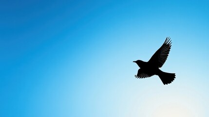 Fototapeta premium A silhouette of a bird in flight against a clear blue sky.
