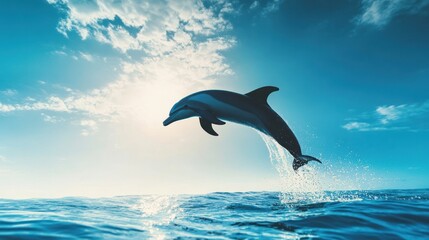 A dolphin leaps gracefully above ocean waves under a bright, sunny sky.