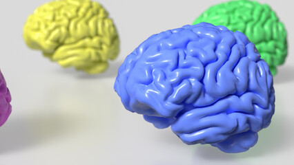 The Multi color Brain on white Background  3d rendering.