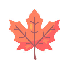 Maple leaf icon. maple, autumn, leaf, plant, fall, botanical, nature, foliage, season, canadian. Vector icon illustration