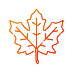 Maple leaf icon. maple, autumn, leaf, plant, fall, botanical, nature, foliage, season, canadian. Vector icon illustration