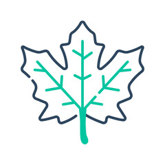 Maple leaf icon. maple, autumn, leaf, plant, fall, botanical, nature, foliage, season, canadian. Vector icon illustration