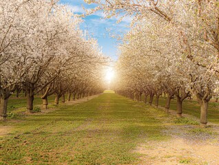 Obraz premium Can you feel the warmth 