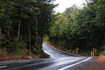 Fototapeta premium View of the scenic highway towards Turoa - the Ohakune Mountain Road