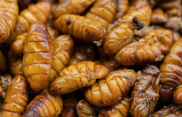 Full frame shot of fried silkworm pupae. Silkworm pupae are a good source of protein, lipids,...
