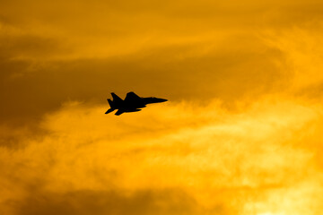 夕日に航空自衛隊F-15J/DJ ファイター