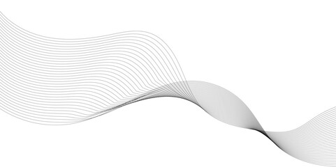 Abstract Gray wavy business and banner curve line background. Digital future technology concept. Line art striped graphic template, banner background. Vector illustration.