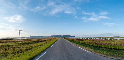 Andoya scenic landscape with long straight road leading into horizon in Norway. national tourist route in Norway. national tourist route on Andoya, Nordland, Norway