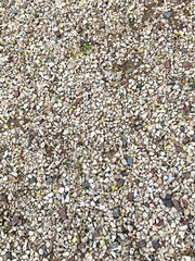 close-up of a wall covered with small stones