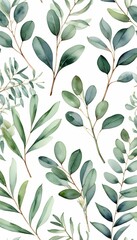 wallpapers green fashion dding watercolour greetings leaves white eucalyptus invitations set prints olated branches  watercolor eucalyptus tree branch set green leaf leaf plant isolated white wedding
