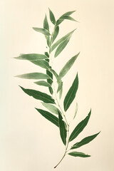 Fototapeta premium The watercolor painting showcases detailed green bamboo leaves on a gentle ivory background, perfect for admirers of nature and botanical art. It is elegant and intricate
