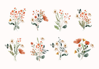 wildflower watercolor bouquet collection