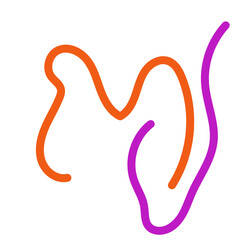 Orange purple squiggly lines abstract vectors