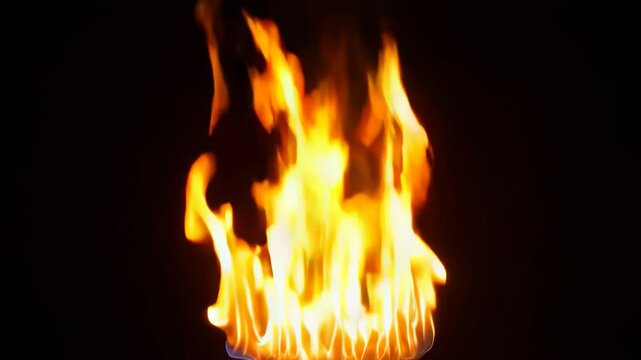 Movement of fire flames on black background