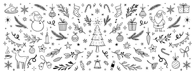Christmas drawn xmas tree, leaf, holly flower background. Hand drawn doodle sketch holly floral, christmas tree leaves, winter pine. Holiday ornament, rustic wreath sketch doodle. Vector illustration
