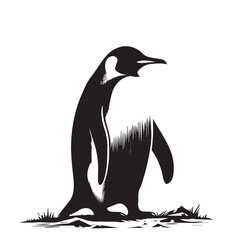 Penguin vector silhouette. Elegant logo icon of penguin. Penguin vector illustration black and white.