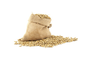 Barley grain seeds spilling from a jute sack over white