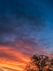 Gradient sky at sunrise sunset, shades of orange, yellow, blue , vertical orientation with copy space