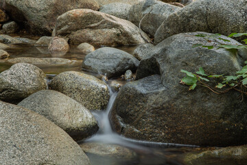 Last summer from California mountain .