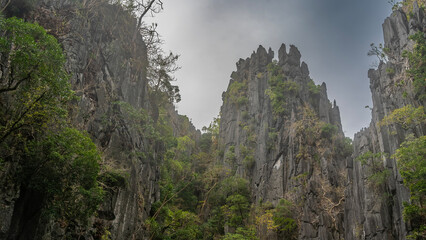 Picturesque steep karst cliffs. Peaks against the blue sky. Tropical vegetation grows on steep furrowed slopes. Philippines. Palawan Island