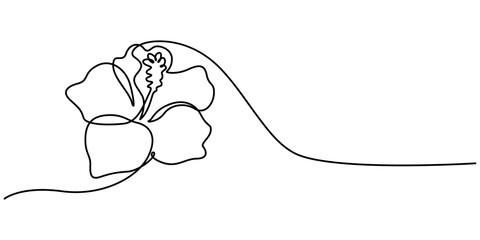 Hibiscus Flower Continuous Line Drawing with Editable Stroke, One continuous line drawing of hibiscus flower. Floral abstract symbol in simple linear style. Organic red herbal tea concept in editable