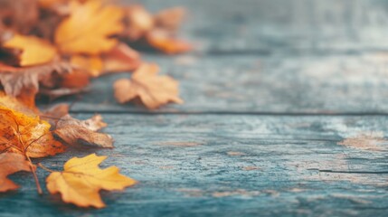 Colorful autumn leaves rest on a weathered wooden surface, reflecting the beauty of the fall season in nature