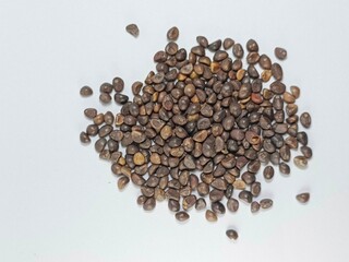 7. Isolated kale seeds on white