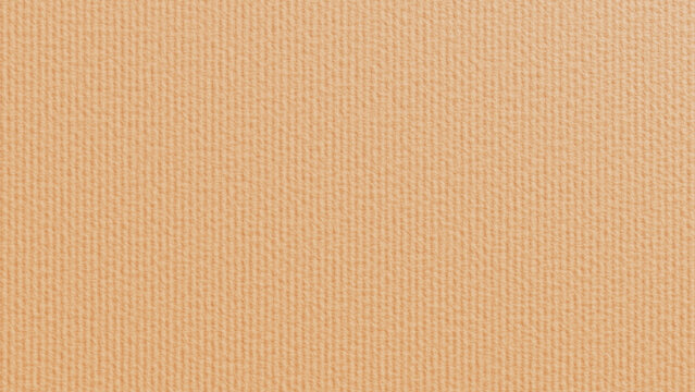 Corrugated Cardboard Texture Background