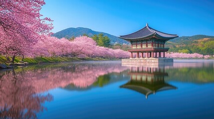 Obraz premium Japanese temple reflecting on the lake during cherry blossom season