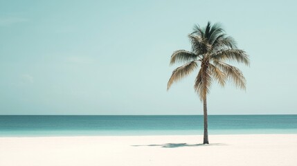 Obraz premium Serene Seaside Solitude - Tranquil Beach with Lone Palm Tree, Zen Sand and Calm Ocean View