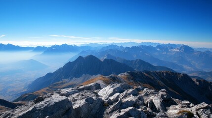 Minimalist Tree of Growth - Eco-Friendly Digital Illustration with Clean Lines