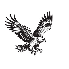 Obraz premium a black and white drawing of an eagle flying