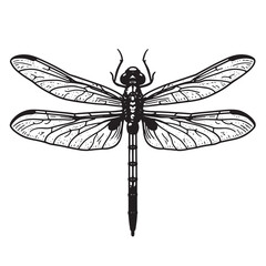 a black and white drawing of a dragonfly