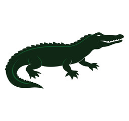 Fototapeta premium crocodile isolated on white
