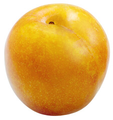 Sweet Yellow plum on white background,Golden Plum fruit isolate on white PNG File.