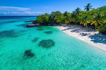 Fototapeta premium Aerial view of a tropical island, with crystal-clear waters, white sand beaches, and palm trees swaying in the breeze