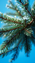 Green Pine Branch with Snowflakes on a Blue Background